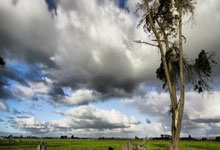 杨过爱恶作剧 郭襄自顾不暇